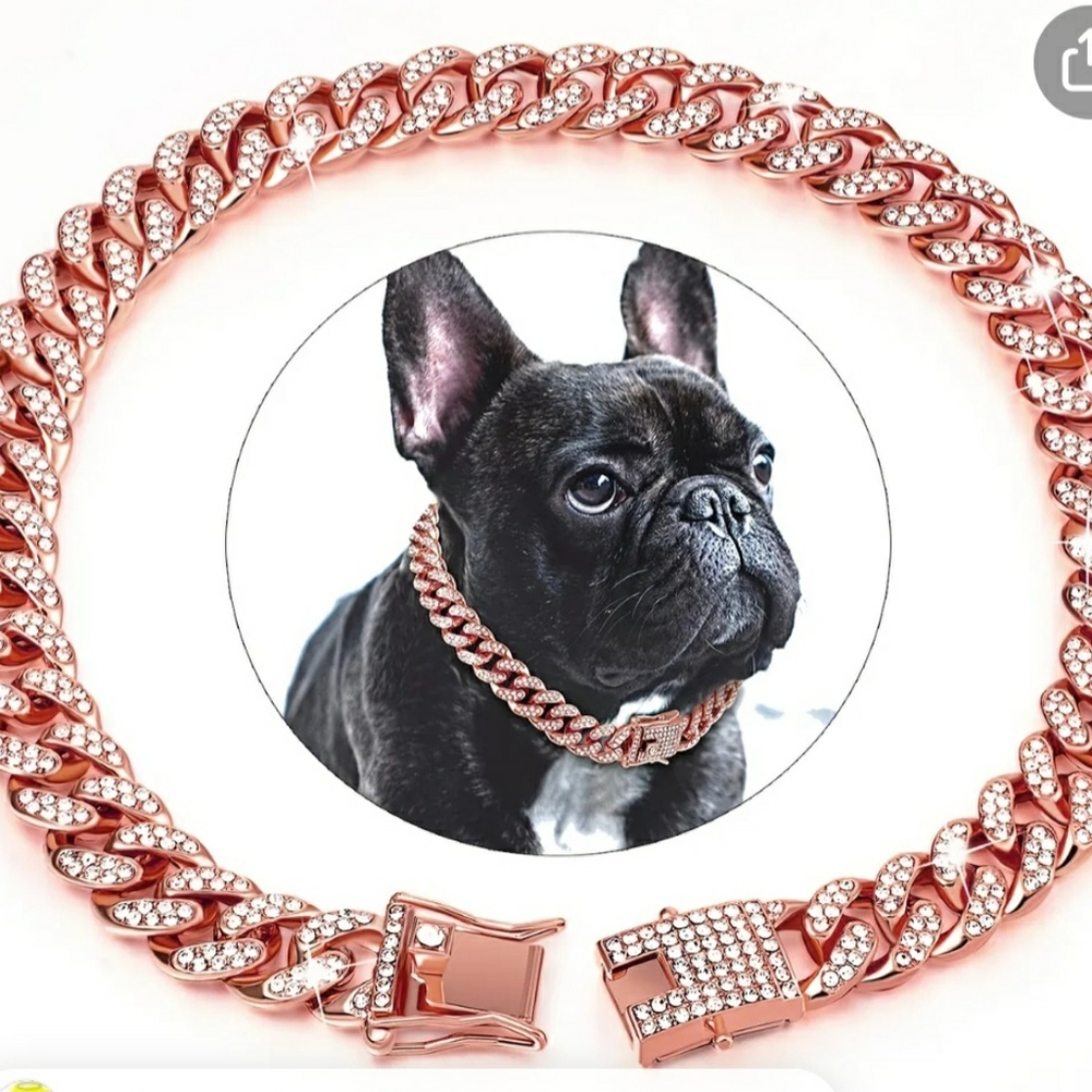 Glam dog collar